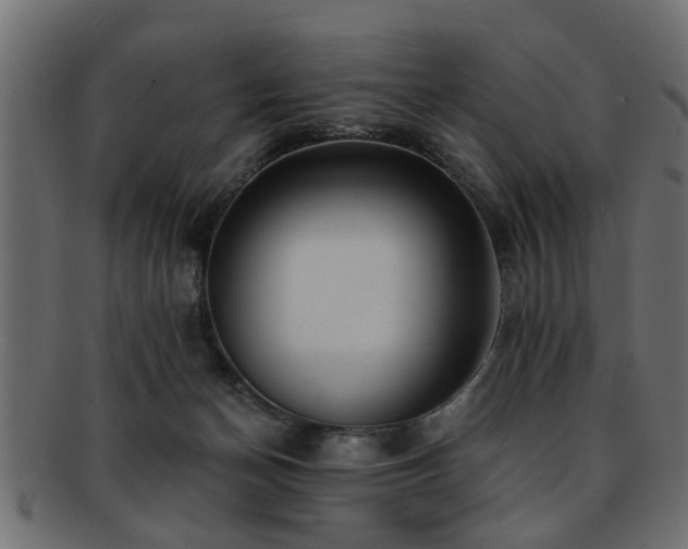 X0000093250174200709261726