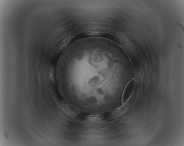 X0000093250175200709261726