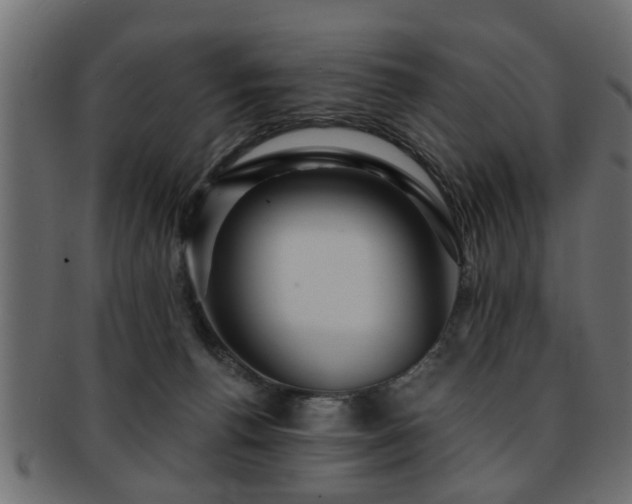 X0000093250176200709261726