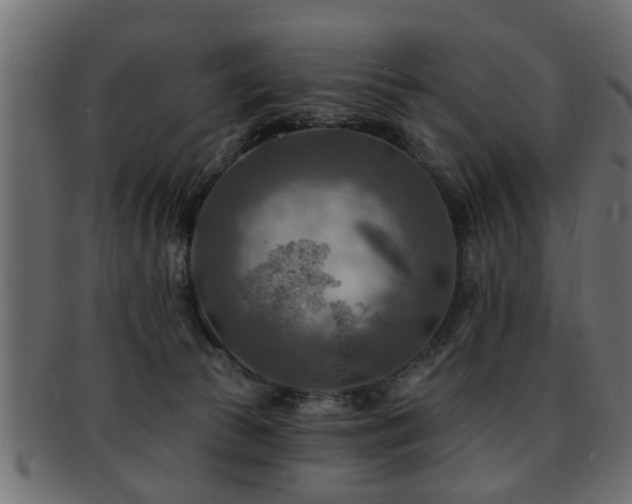 X0000093250177200709261726