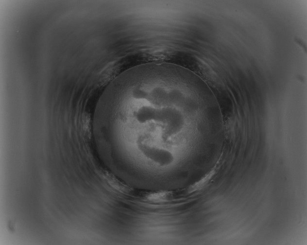 X0000093250178200709261726