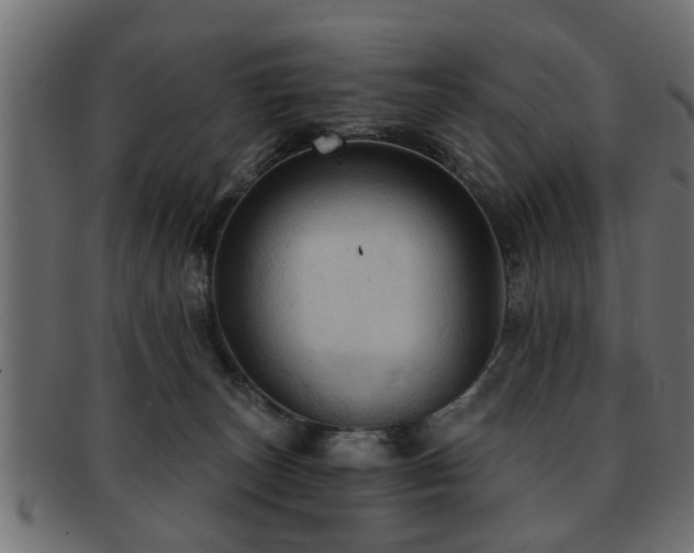 X0000093250179200709261726