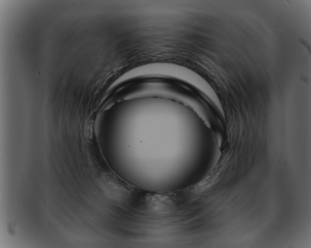 X0000093250180200709261726