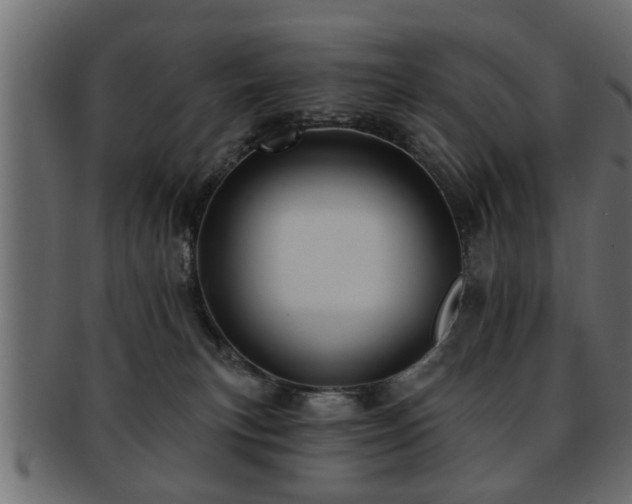 X0000093250183200709261726