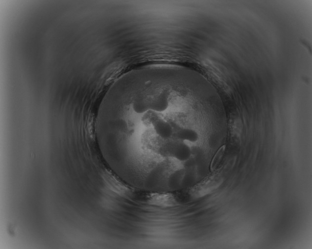 X0000093250185200709261727