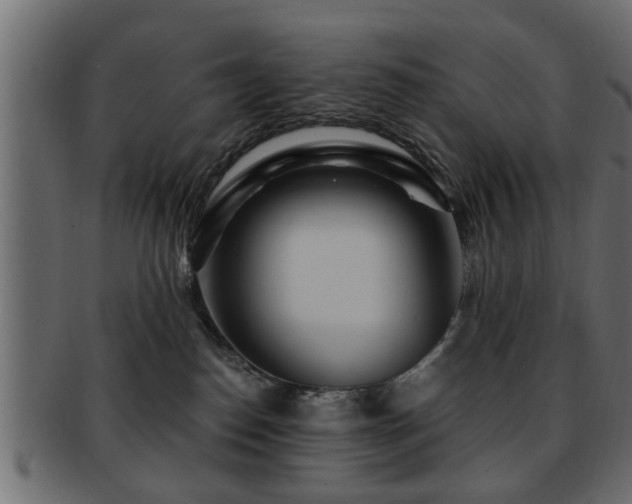X0000093250186200709261727