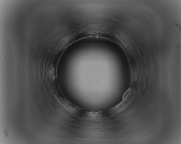 X0000093250187200709261727