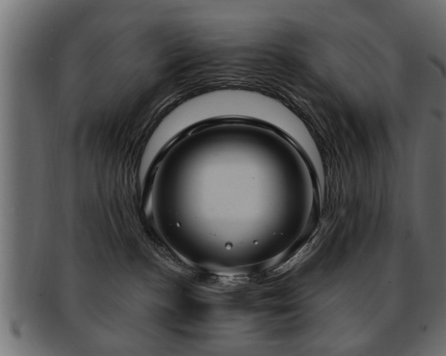 X0000093250188200709261727
