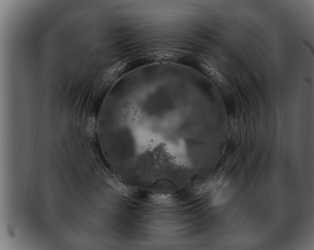 X0000093250189200709261727
