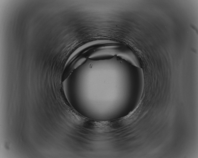 X0000093250192200709261727