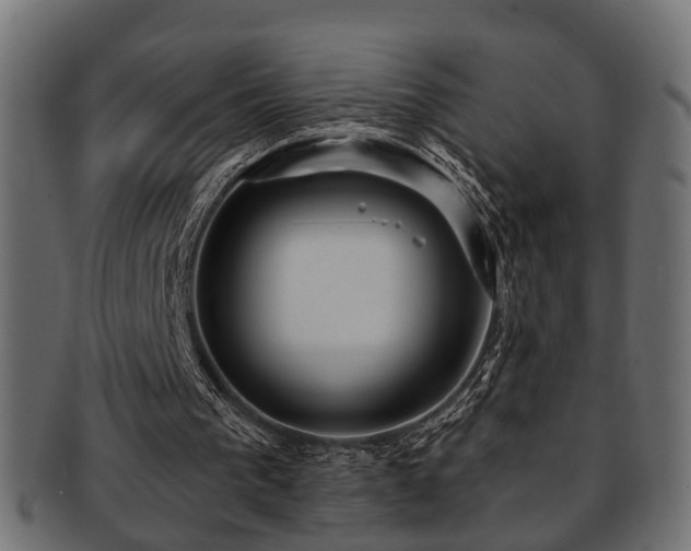 X0000093250193200709261726