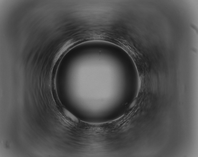 X0000093250195200709261726