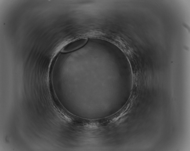 X0000093250196200709261726