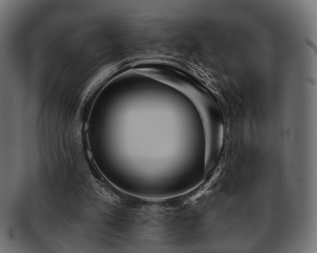 X0000093250197200709261726