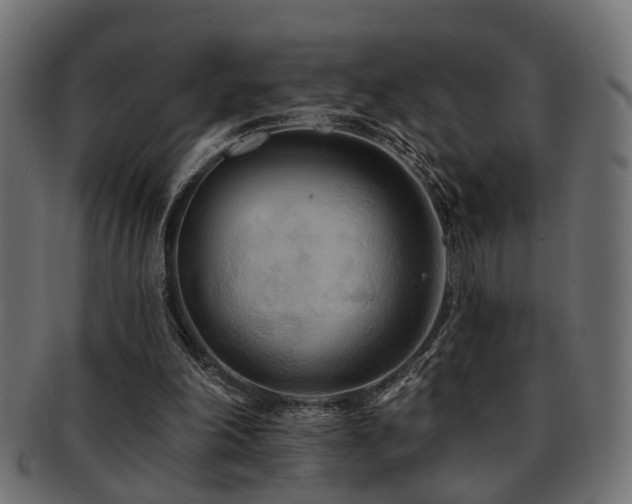 X0000093250198200709261726
