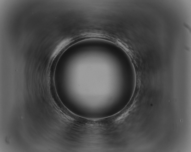 X0000093250199200709261726