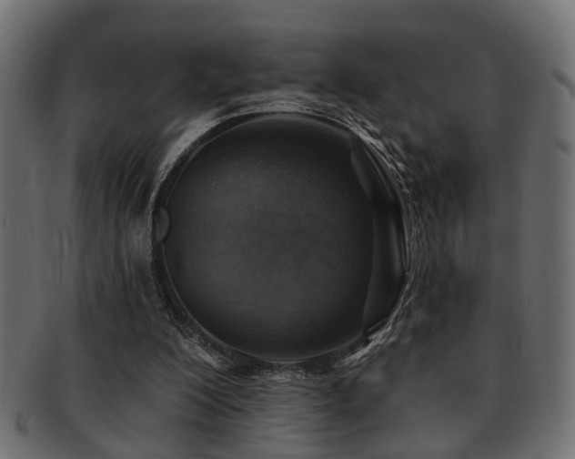 X0000093250200200709261726