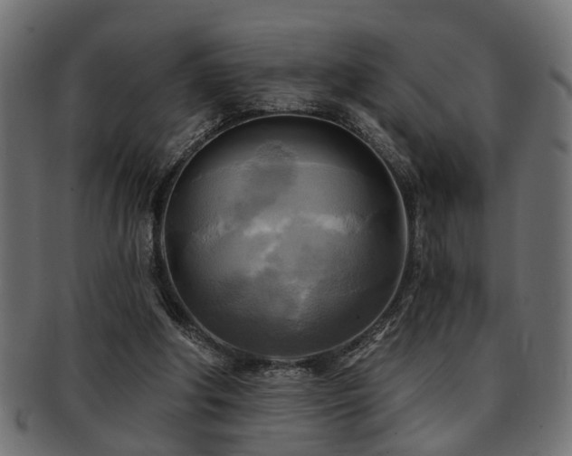 X0000093250202200709261726