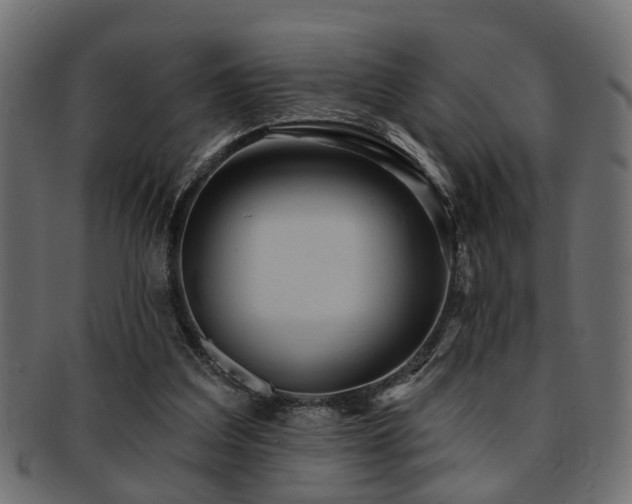 X0000093250203200709261726