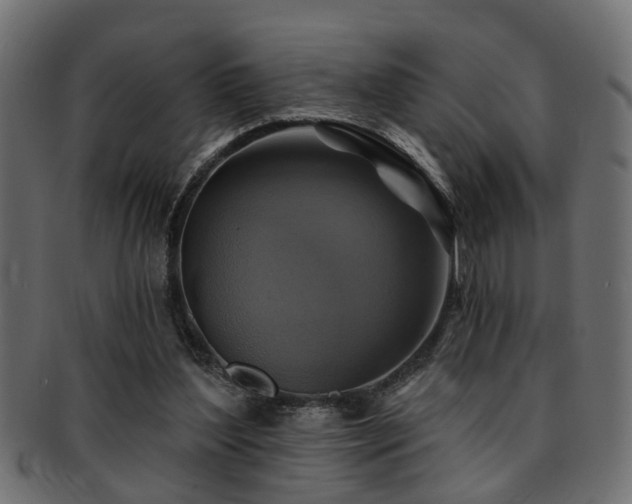 X0000093250204200709261726