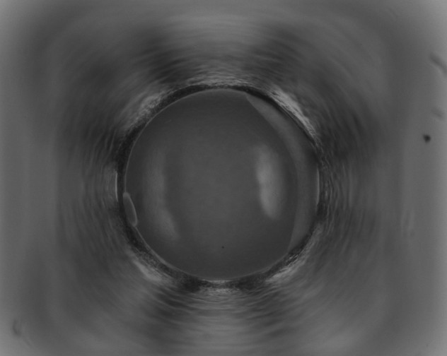 X0000093250205200709261726