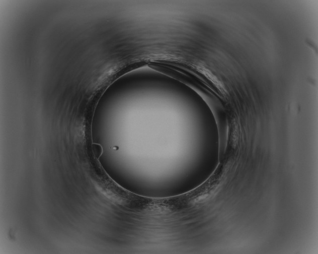 X0000093250207200709261726