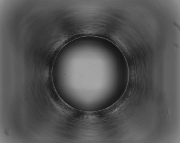 X0000093250208200709261726