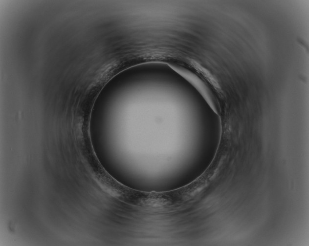 X0000093250209200709261726