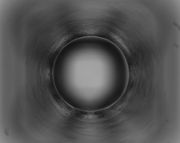 X0000093250212200709261726