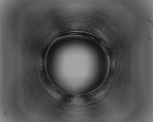 X0000093250215200709261726