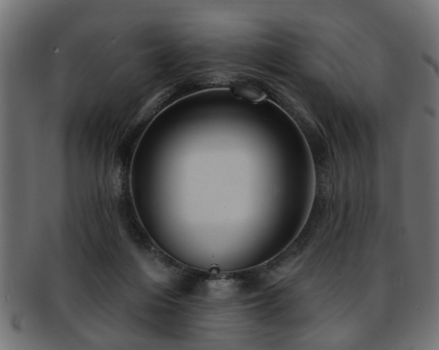 X0000093250216200709261726