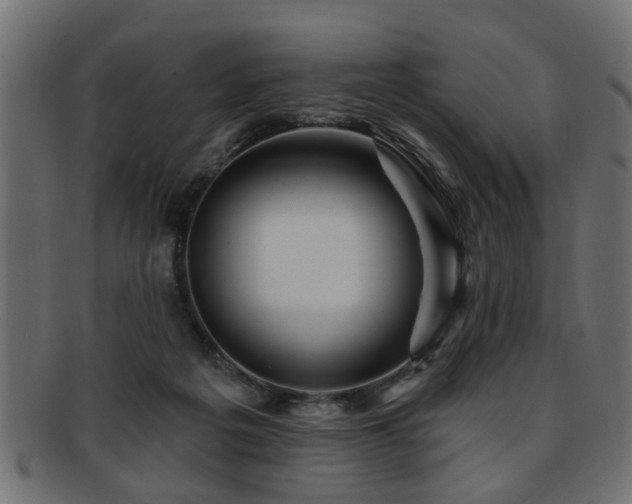 X0000093250217200709261726