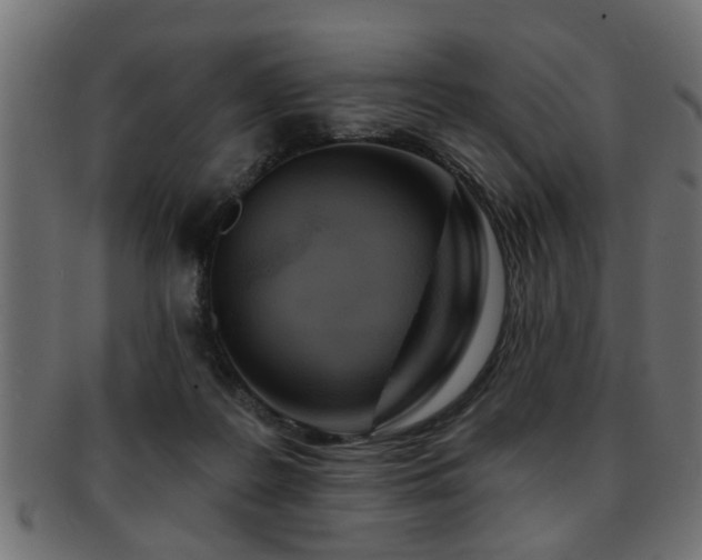 X0000093250219200709261726