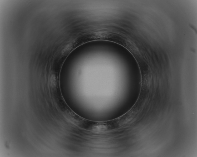 X0000093250220200709261726