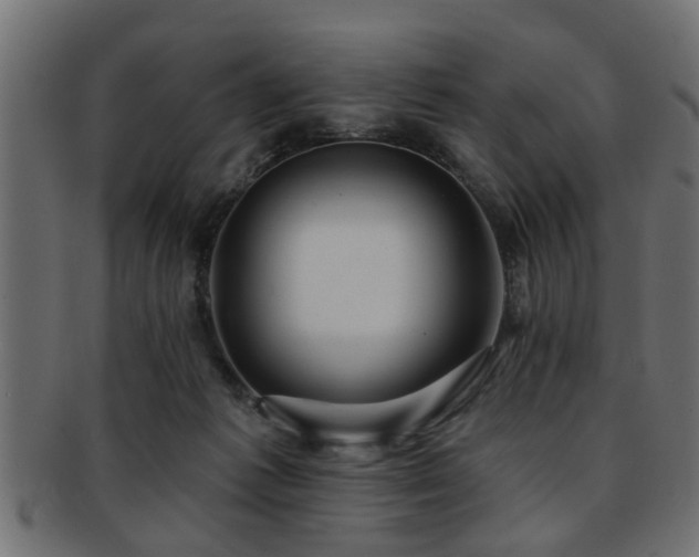 X0000093250221200709261726