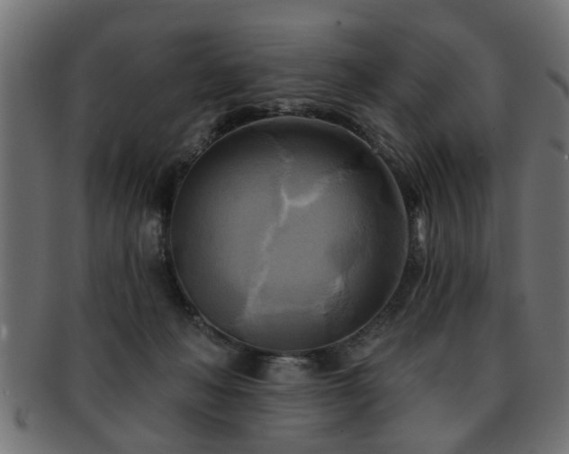 X0000093250222200709261726