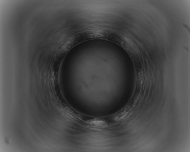 X0000093250223200709261726