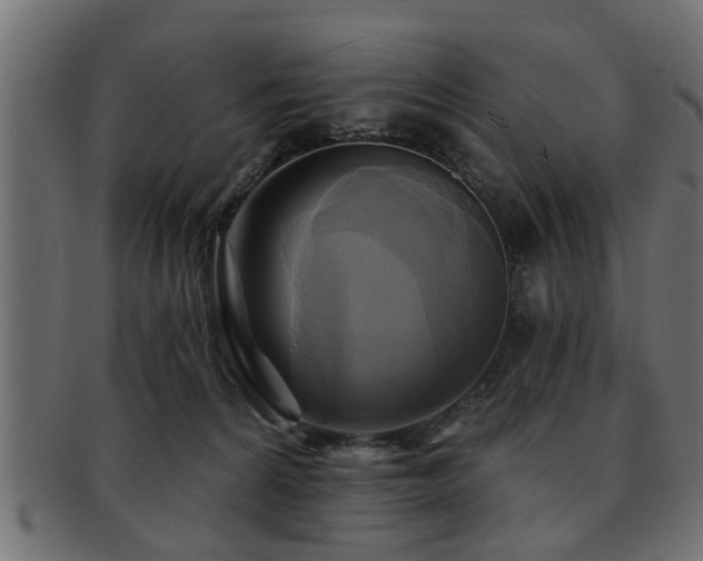 X0000093250224200709261726