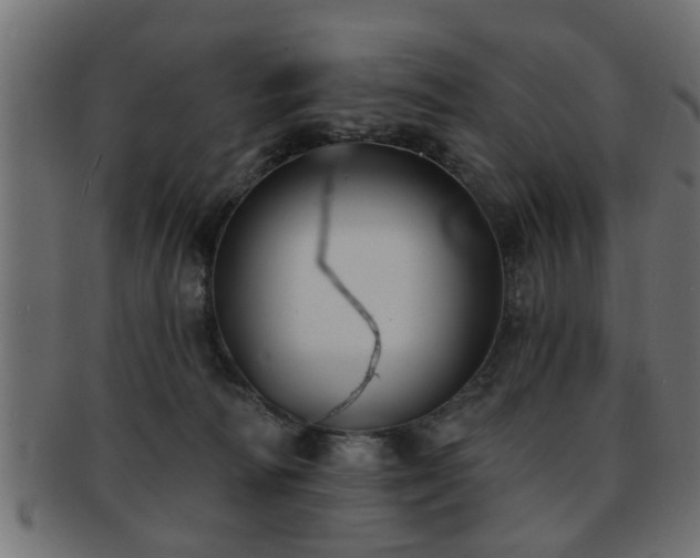 X0000093250226200709261726