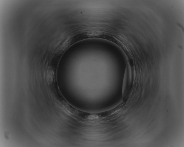 X0000093250227200709261726