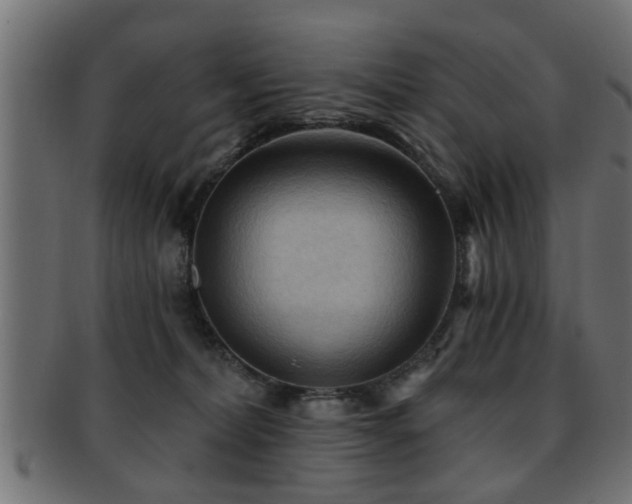 X0000093250228200709261726
