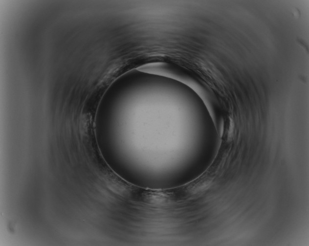 X0000093250229200709261726