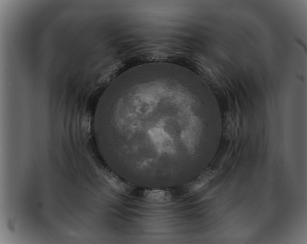 X0000093250230200709261726