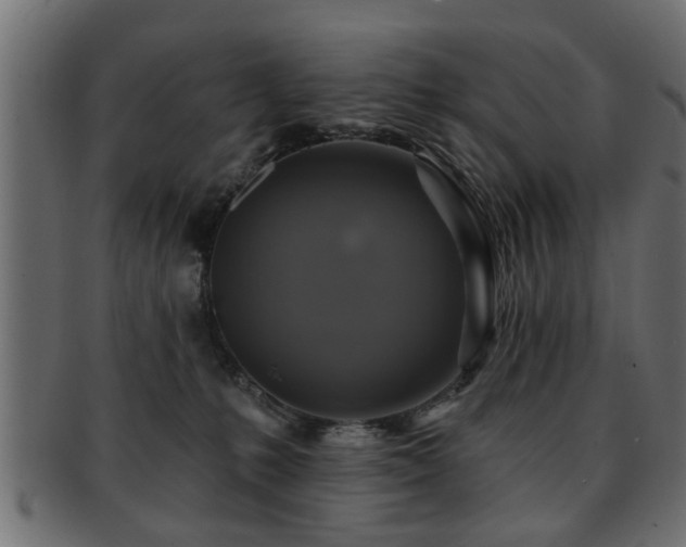 X0000093250231200709261726