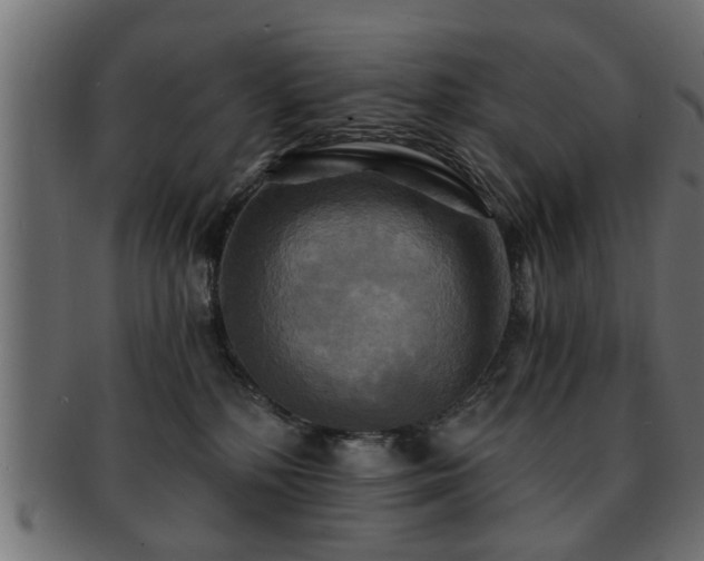 X0000093250232200709261726