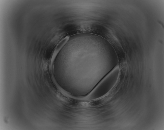 X0000093250233200709261726
