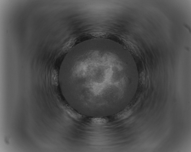X0000093250234200709261726