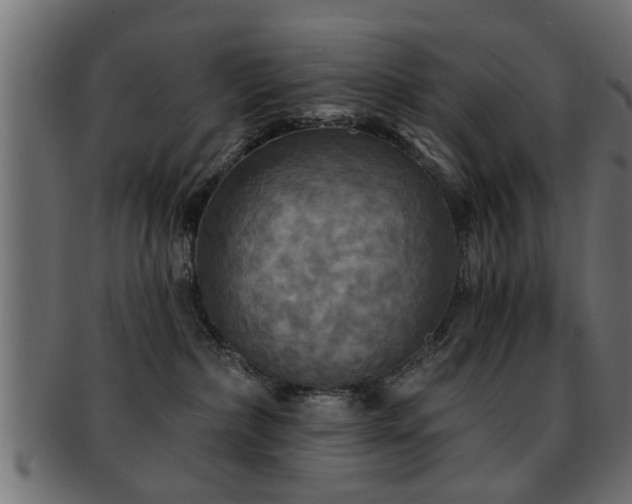 X0000093250236200709261726