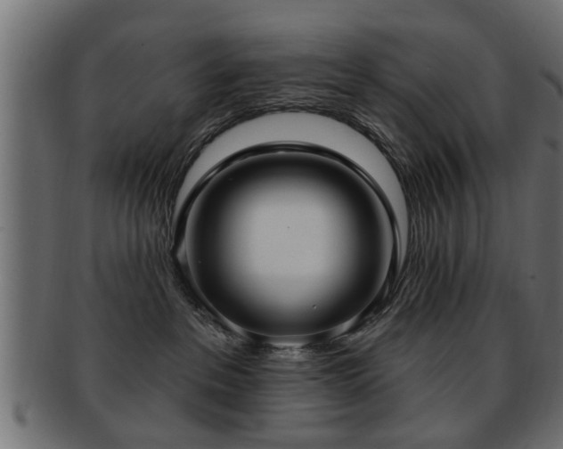 X0000093250237200709261726