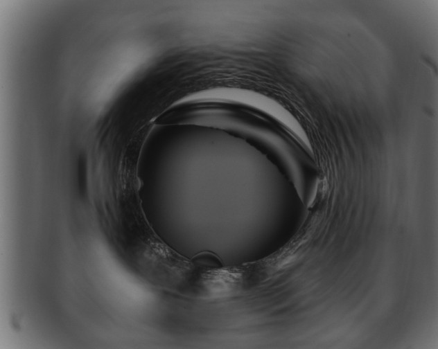 X0000093250239200709261725